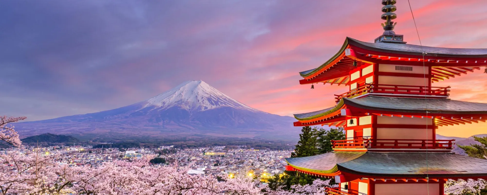Japan Tour
