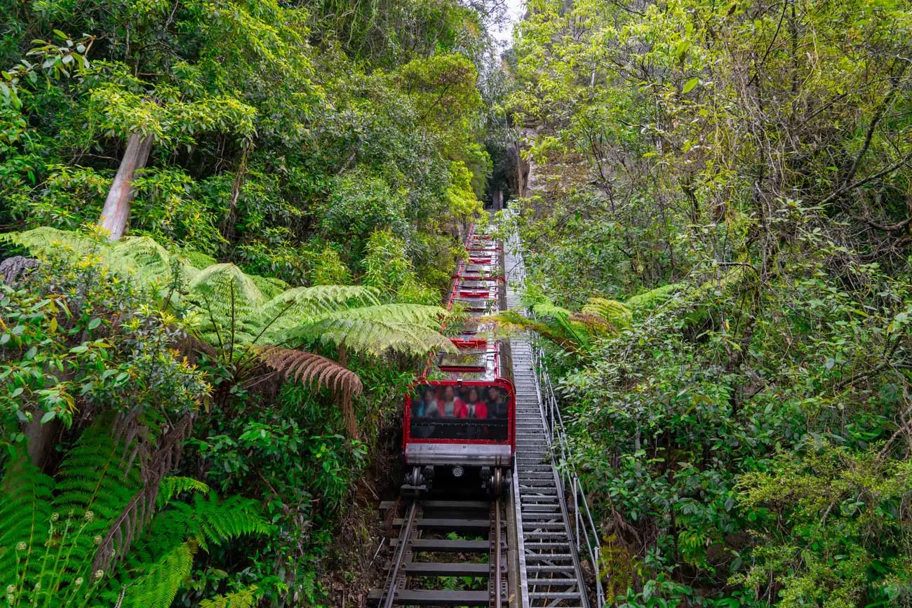 Blue Mountain Small Group | Scenic World | Zoo